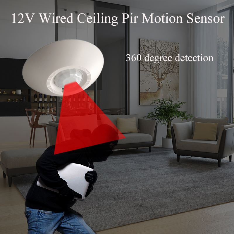 Motion Sensor Pir Wired - 12 V Bedrade PIR Bewegingssensor Plafonddetector